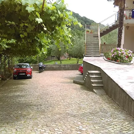Apartmán Jovich 1 *